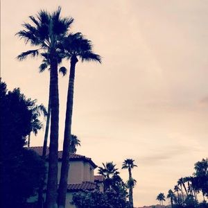 Meet your Posher, Paulette